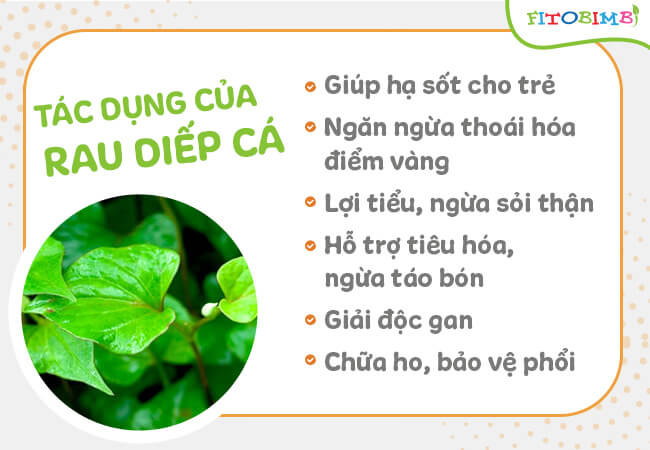 tac dung cua rau diep ca