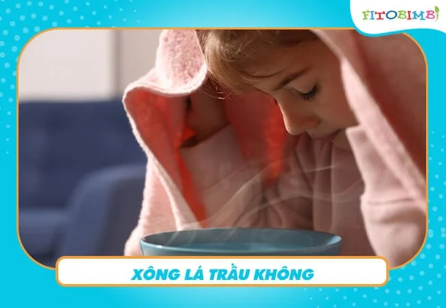 Xông mũi với lá trầu không
