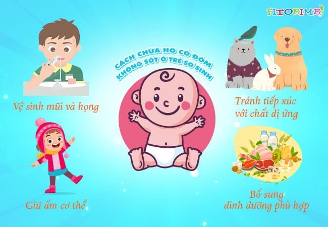 cach chua ho dom khong sot