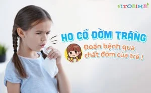 ho ra dom trang