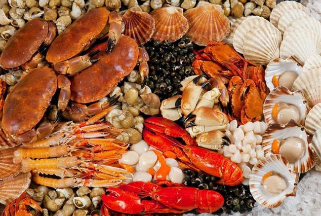 Tôm, cua, động vật có vỏ