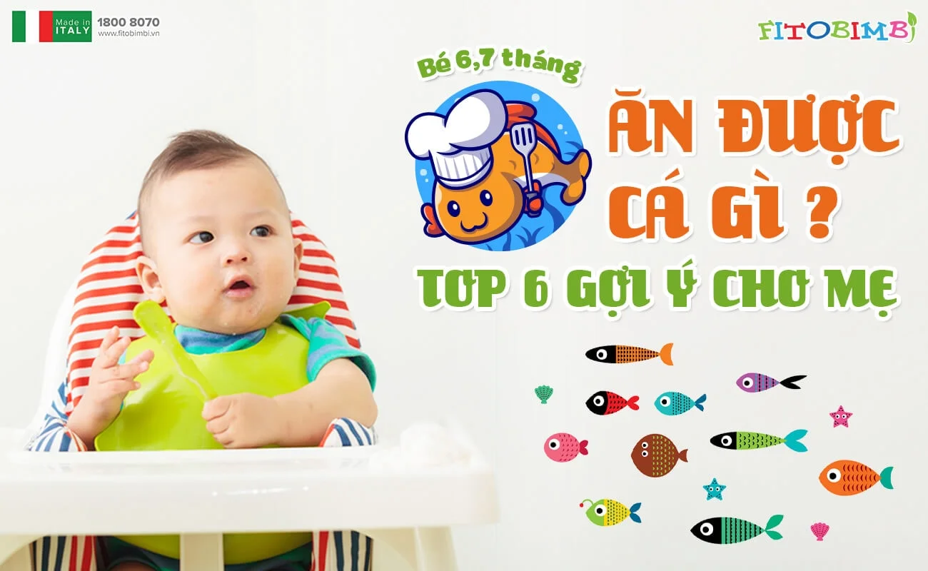 Bé 6 tháng ăn được cá gì? Lợi ích, cách chọn và chế biến cho bé