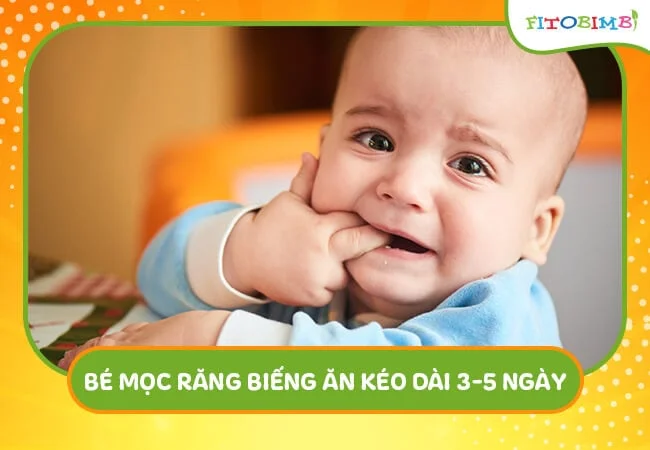 Bé sẽ mọc răng biếng ăn từ 3-5 ngày