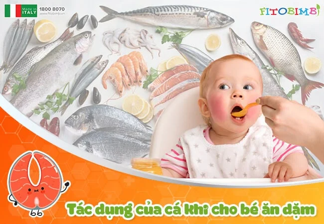 Cá giàu dinh dưỡng lại rất dễ tiêu