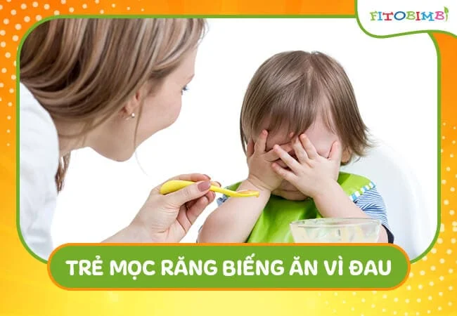 Mọc răng gây nhiều đau đớn nên bé lười ăn