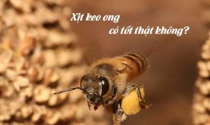 Xịt keo ong có tác dụng gì? 4 ưu điểm vượt trội nên dùng khi bị ho, viêm họng
