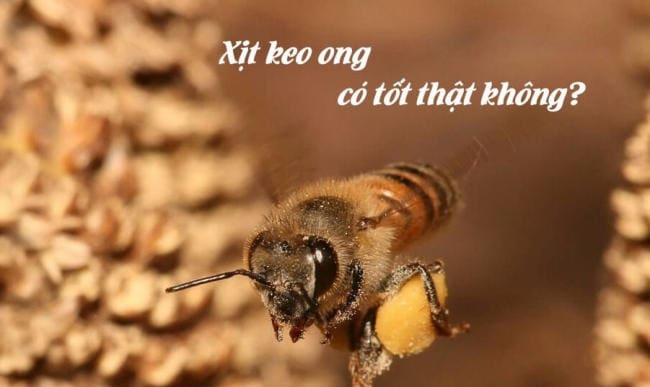 Làm thế nào để sử dụng xịt keo ong?
