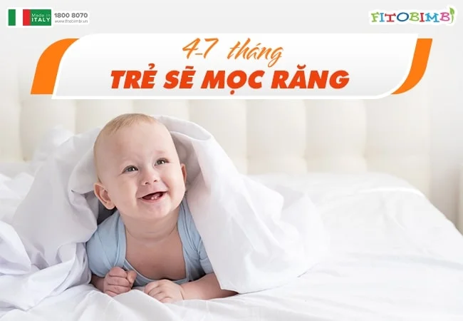 Trẻ sẽ mọc răng từ khi 4-7 tháng tuổi
