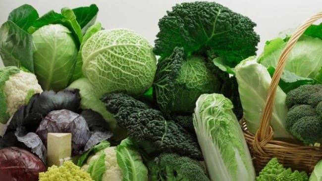 Bổ sung rau xanh giúp cải thiện hệ tiêu hóa