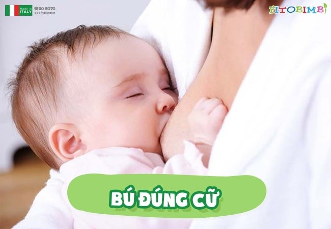Cho bé bú đúng cữ