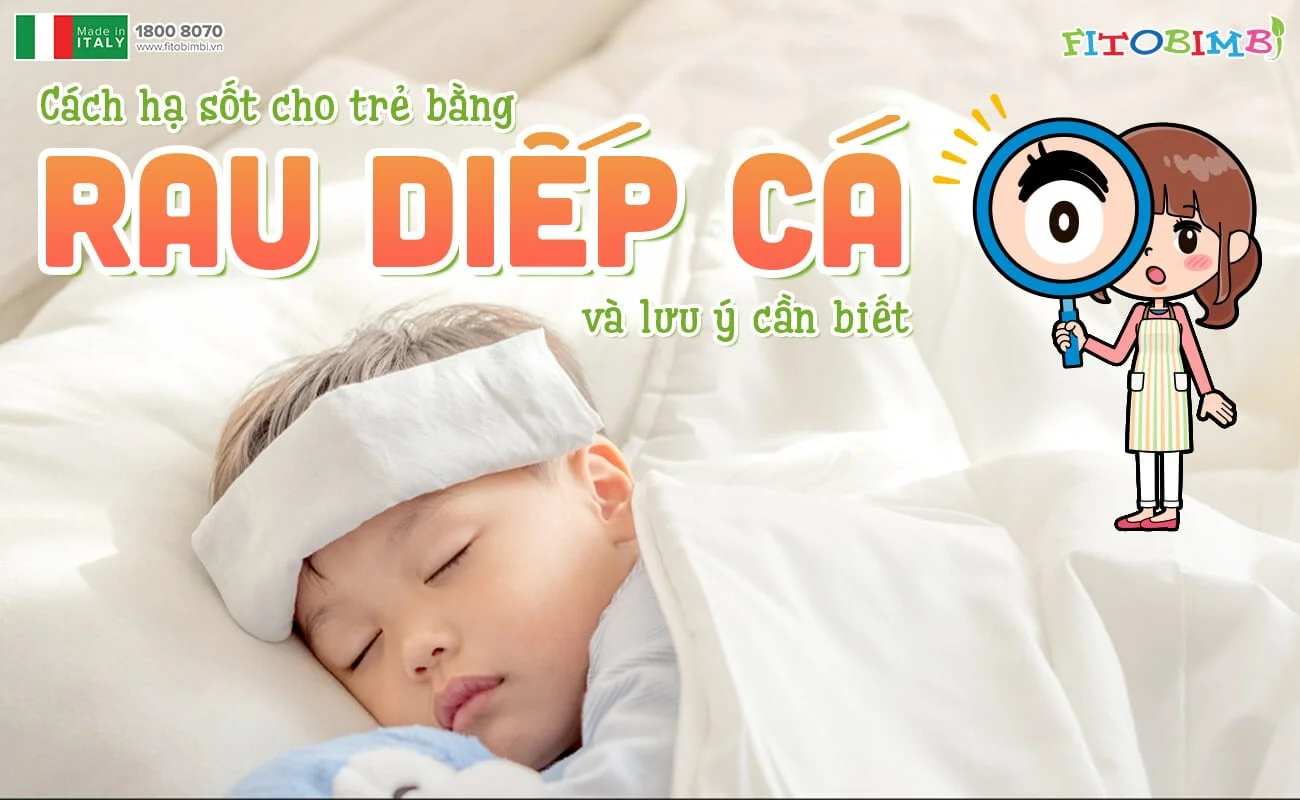 Hạ sốt cho trẻ bằng rau diếp cá: Phương pháp tự nhiên hiệu quả