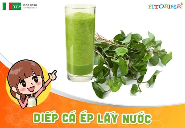 Cho bé uống nước ép từ diếp cá