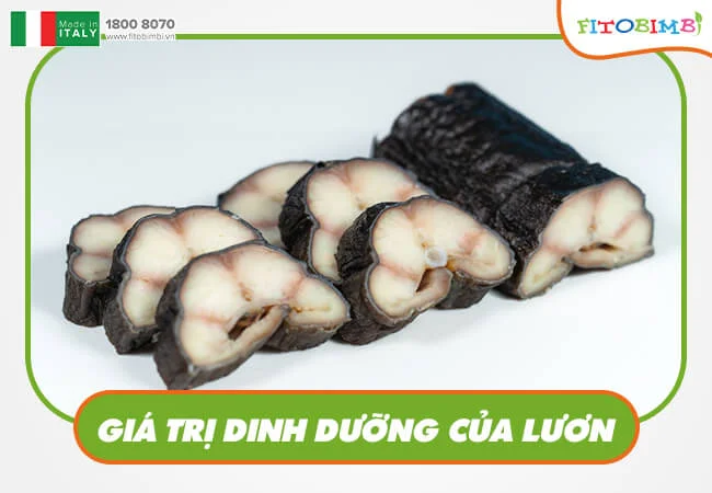 Lươn là thực phẩm có giá trị dinh dưỡng rất cao