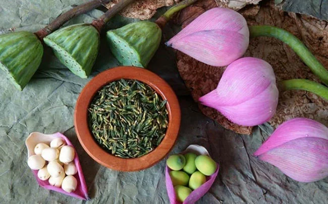 Giá trị dinh dưỡng từ hạt sen