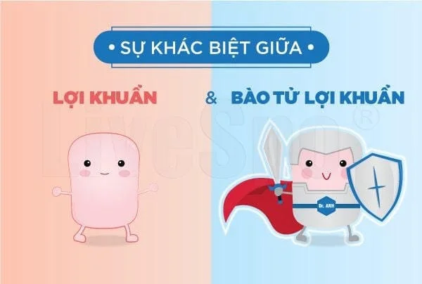 Lợi khuẩn và bào tử lợi khuẩn khác nhau gì?