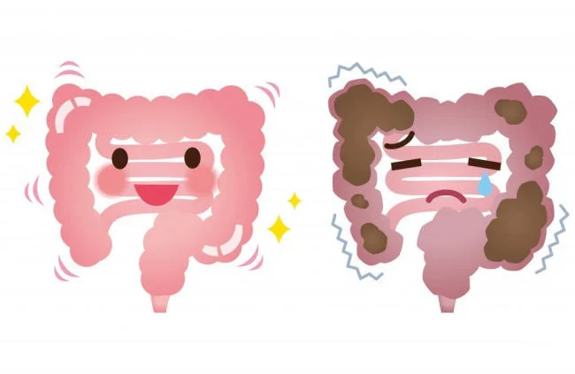 Men vi sinh giúp giải quyết các vấn đề tiêu hóa