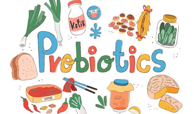 Probiotic có trong thực phẩm nào? 12 thực phẩm bổ sung “siêu tốc” cho sức khỏe