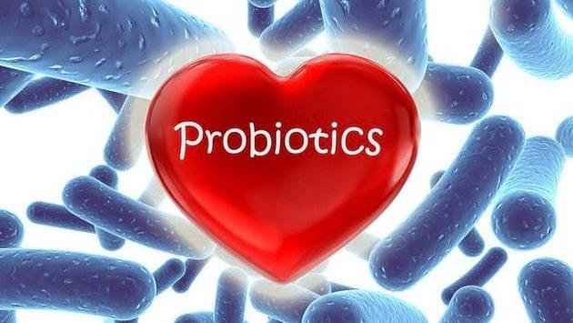 Probiotic giúp cân bằng hệ vi sinh đường ruột, ngăn ngừa các vấn đề tiêu hóa