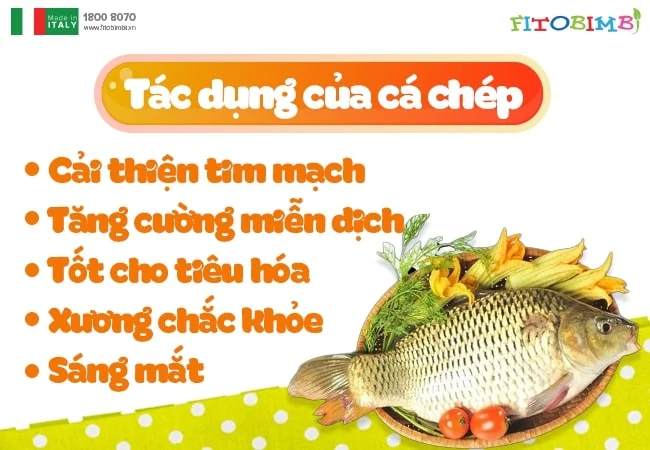 Giá trị dinh dưỡng từ cá chép