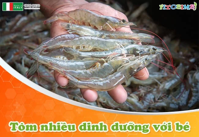 Cháo tôm cho bé chứa nhiều dinh dưỡng