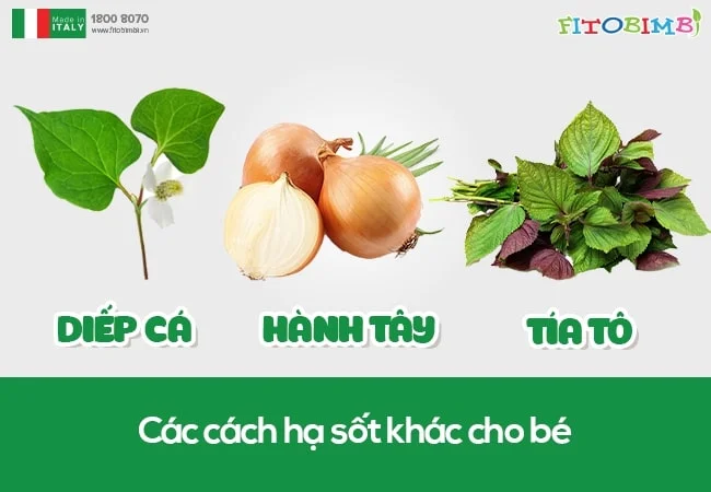 Hạ sốt cho bé bằng nước uống rau diếp cá
