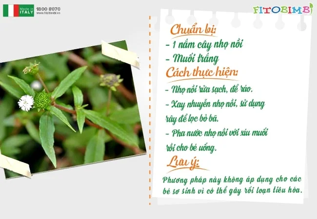Cách hạ sốt cho trẻ bằng cây nhọ nồi vô cùng đơn giản
