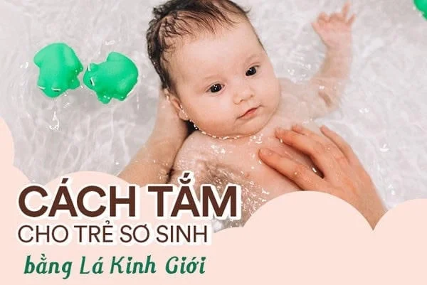 Cách tắm cho bé bằng lá kinh giới