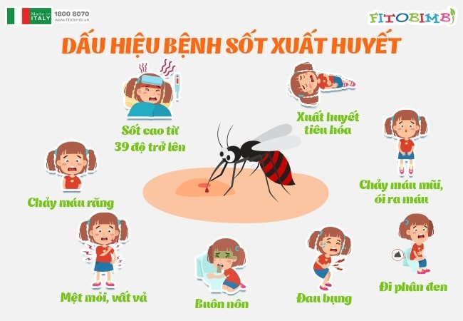 Dấu hiệu nhận biết của bệnh sốt xuất huyết