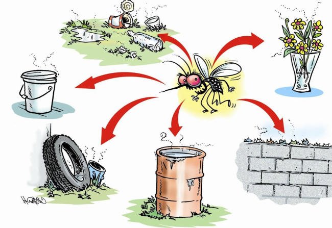 Ngăn chặn môi trường sống của muỗi