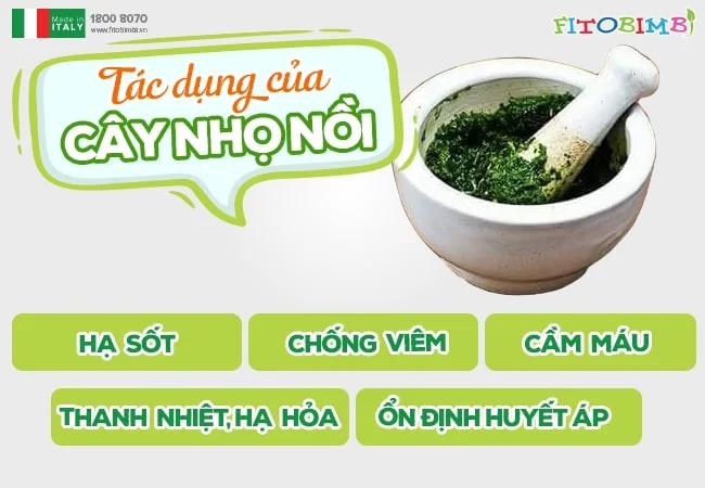 Cỏ nhọ nồi hạ sốt cho trẻ: Hướng dẫn chi tiết và an toàn cho bé