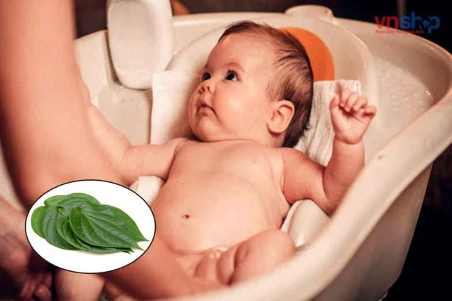 Tắm lá trầu giúp bé nhanh khỏi bệnh