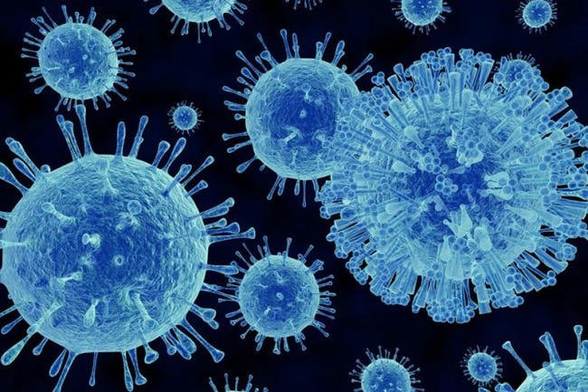 Virus có thể lây lan nhanh chóng nên khả năng lây nhiễm của sốt siêu vi là rất cao