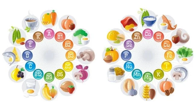 Các loại vitamin và khoáng chất thiết yếu cho bé