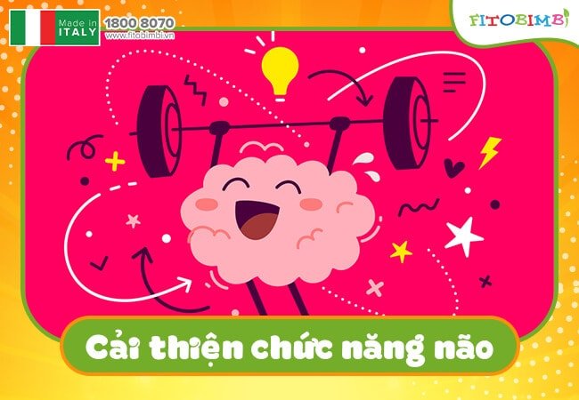 Cải thiện chức năng não bộ