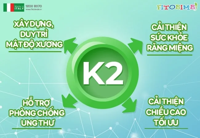 Công dụng của vitamin K2