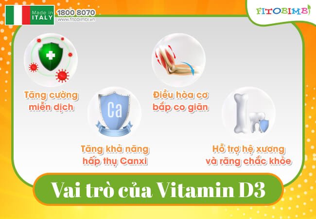 Vitamin D3 rất cần cho hệ xương khớp của bé