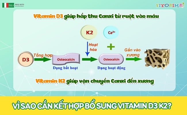 vi sao can ket hop bo sung d3k2