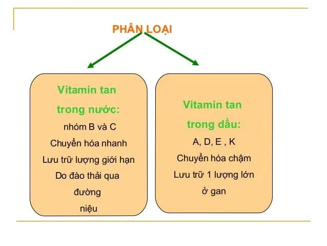 Vitamin A có thể hấp thụ trực tiếp vào cơ thể thông qua quá trình tiêu hóa