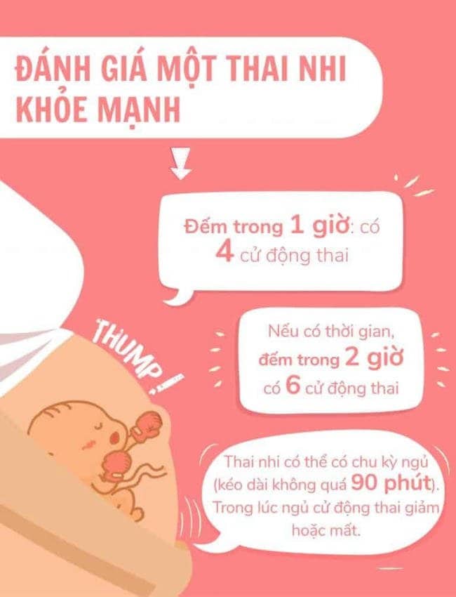 Đánh giá một thai nhi khỏe mạnh qua cử động thai