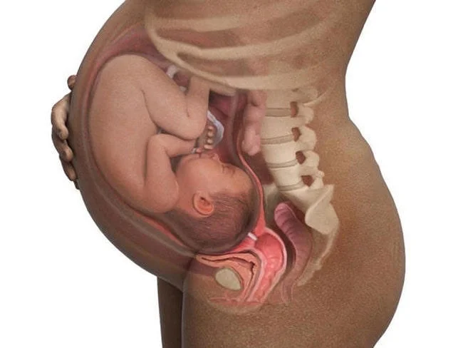 Em bé sẵn sàng chào đời ở tuần tuổi này