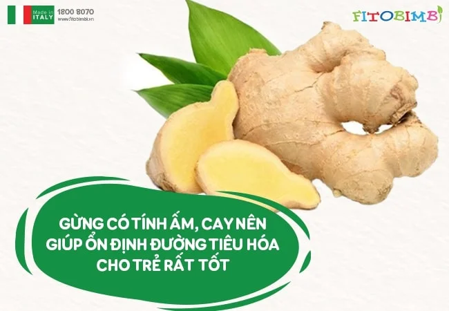 Gừng giúp trị ọc sữa cho trẻ sơ sinh