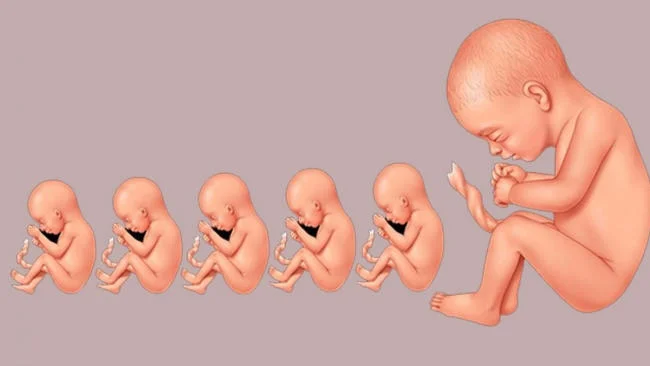 Hành trình phát triển của bé theo từng tháng
