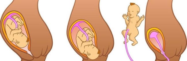 El sistema digestiu del vostre nadó encara no està preparat
