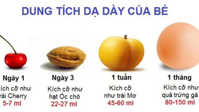 Kích thước dạ dày của bé