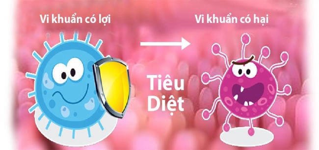 Kiểm soát hại khuẩn phát triển