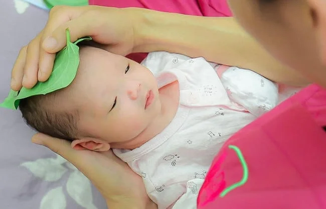 Mẹo chữa nấc dân gian từ lá trầu không