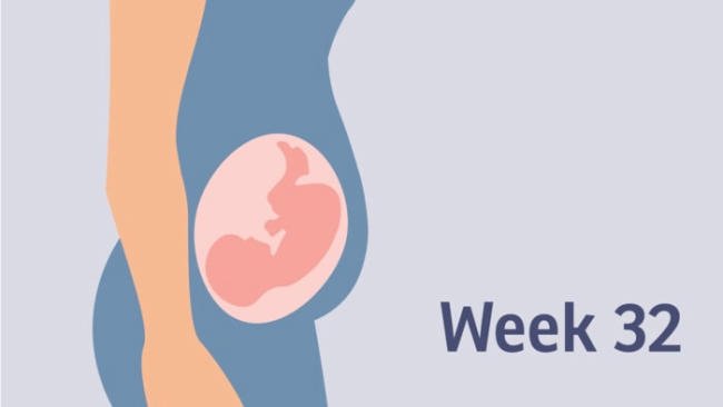 Thai 32 tuần nặng bao nhiêu? Sự phát triển của thai nhi và lời khuyên dành cho mẹ!