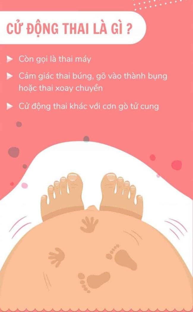 Thai máy là những cử động của thai nhi