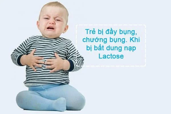 Trẻ bị đầy hơi khi bất dung nạp Lactose