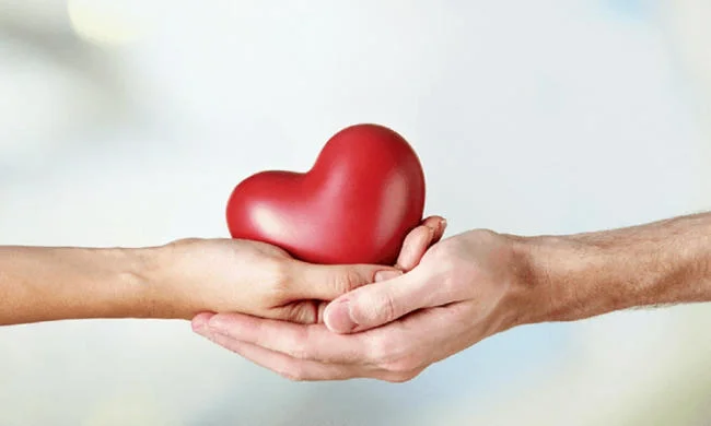 Vitamin B6 giúp bảo vệ tim mạch